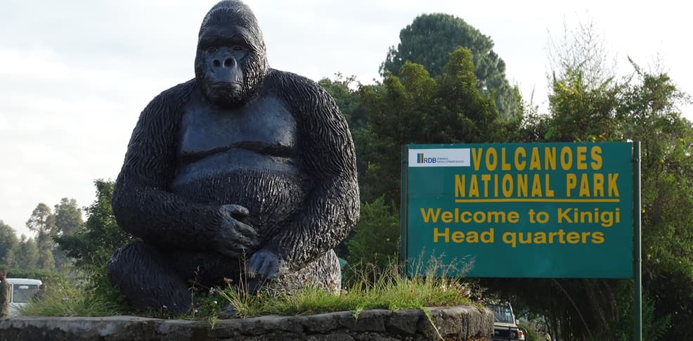 Rwanda Gorilla Safari - Safari tour in Rwanda, East Africa